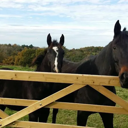 Maison Proche Pont L'eveque Deauville Honfleur بيت للعطل Les Authieux-sur-Calonne