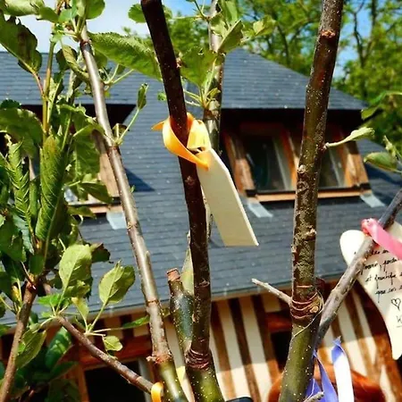 Maison Proche Pont L'eveque Deauville Honfleur Les Authieux-sur-Calonne