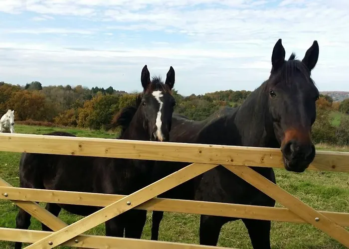 Maison Proche Pont L'eveque Deauville Honfleur Hébergement de vacances Les Authieux-sur-Calonne